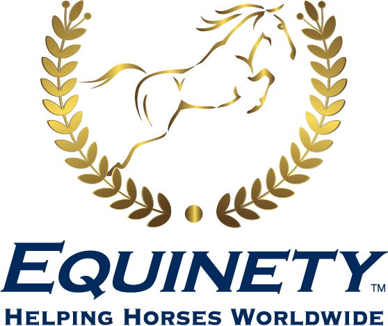 Equinety